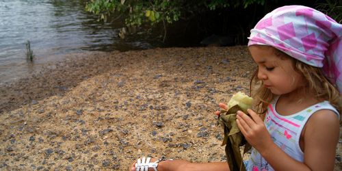 Les Lapinous en Guyane : Cayenne et Roura