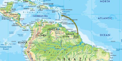 Les Lapinous en Guyane : Cayenne et Roura