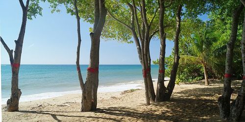 Plages de Sainte-Luce