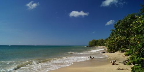 Plages de Sainte-Luce