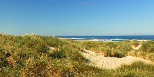 Oregon Coast