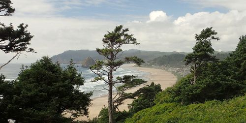 Oregon Coast