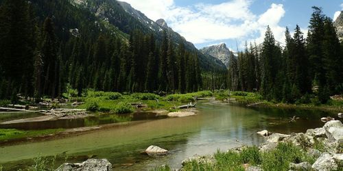 Grand Teton