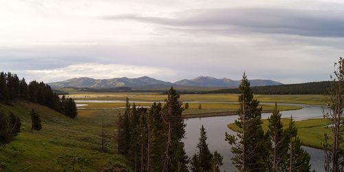 Yellowstone