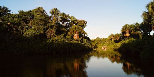 Du Maroni à Kourou