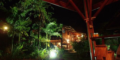 Les Lapinous en Guyane : Cayenne et Roura