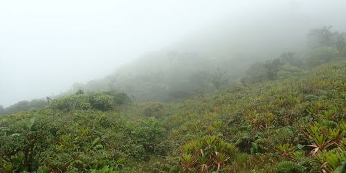 Pitons du Carbet