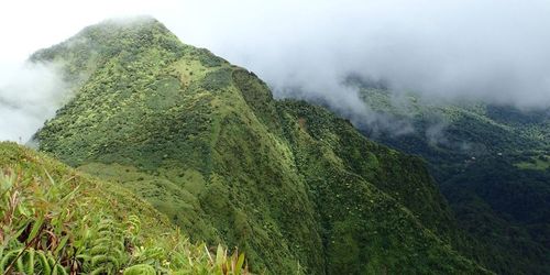 Pitons du Carbet