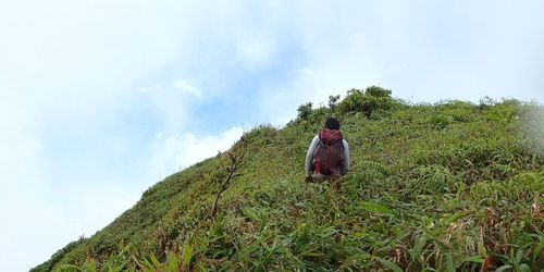 Pitons du Carbet