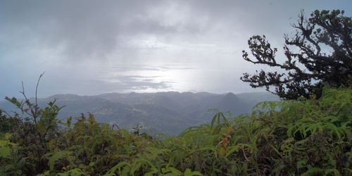Pitons du Carbet