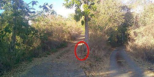Sentier Martineaud