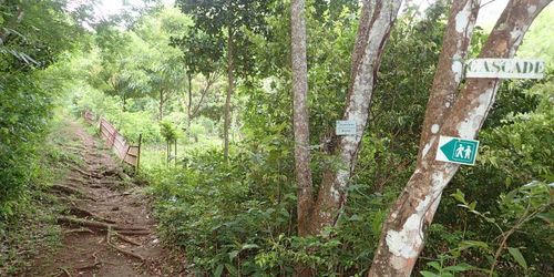 Cascade Anba So