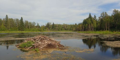 Les Prairies