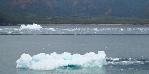 La péninsule de Kenai