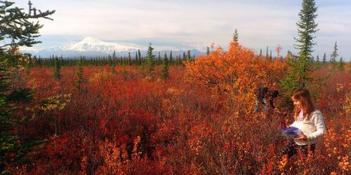 Kluane