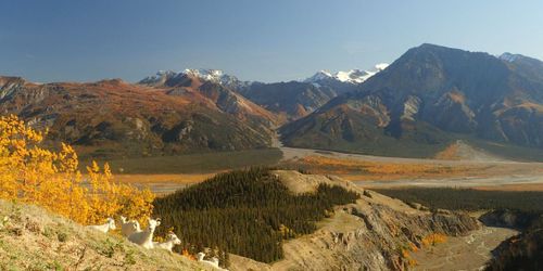 Kluane