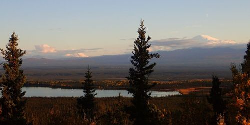 Kluane