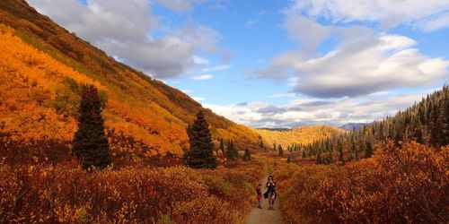 Kluane