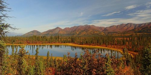 Kluane