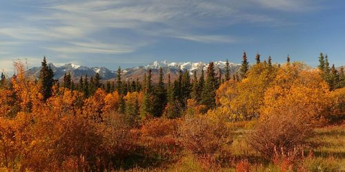 Kluane