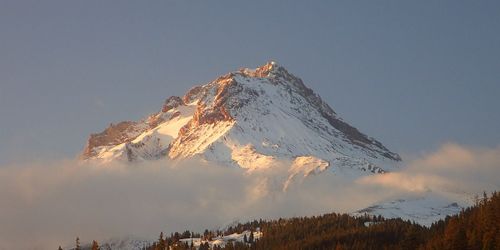 Mt Hood