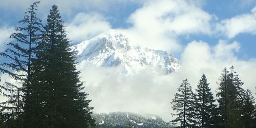 Mt Hood