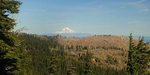 Mt Hood
