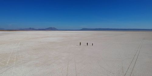 Alvord Desert