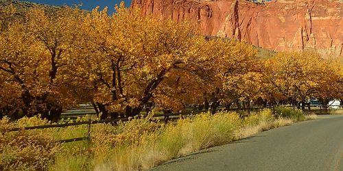 Capitol Reef
