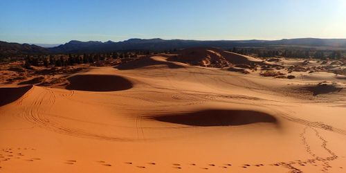 Coral Pink Sand Dunes