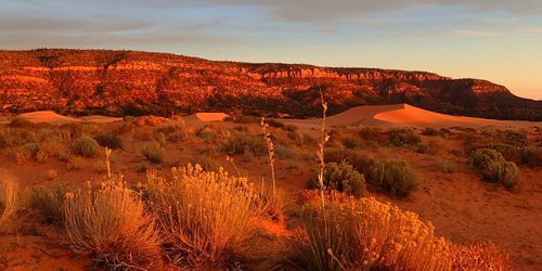 Coral Pink Sand Dunes