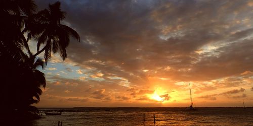 Tobacco Caye