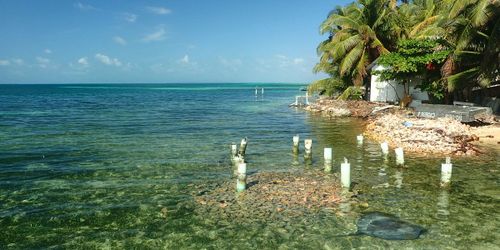 Tobacco Caye