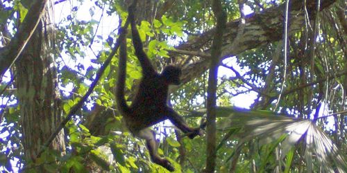 De Tikal à Rio Dulce
