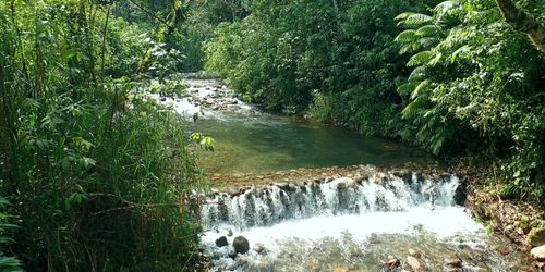 Honduras