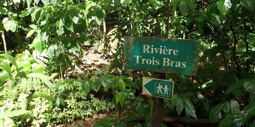 Cascades Trois Bras
