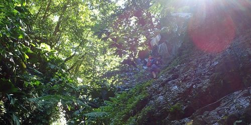 Cascades Trois Bras