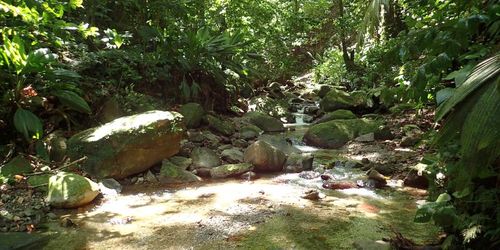 Cascades Trois Bras