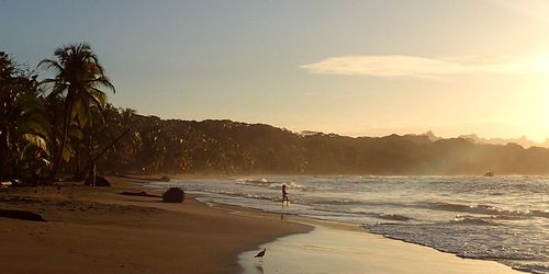 Manzanillo