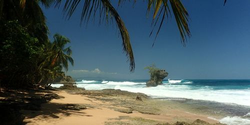 Manzanillo