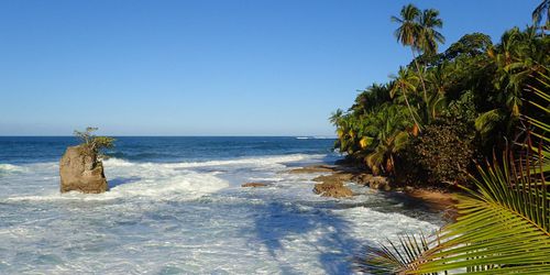 Manzanillo