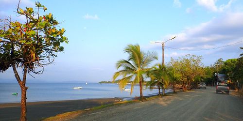 Puerto Jiménez