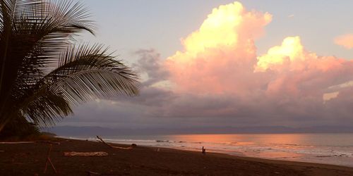 Corcovado