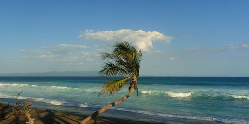 Corcovado