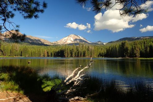 Lassen
