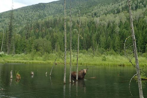 Kootenay