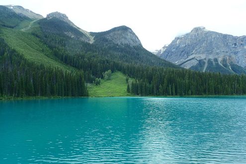 Yoho & Banff