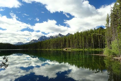 Yoho & Banff