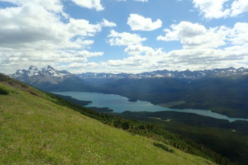 Jasper