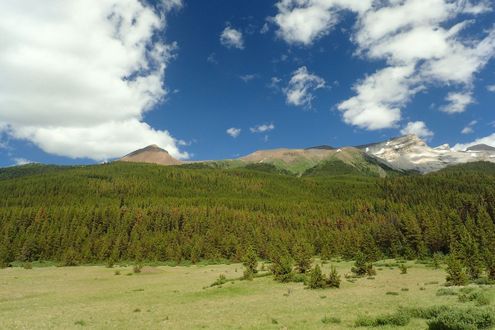 Jasper